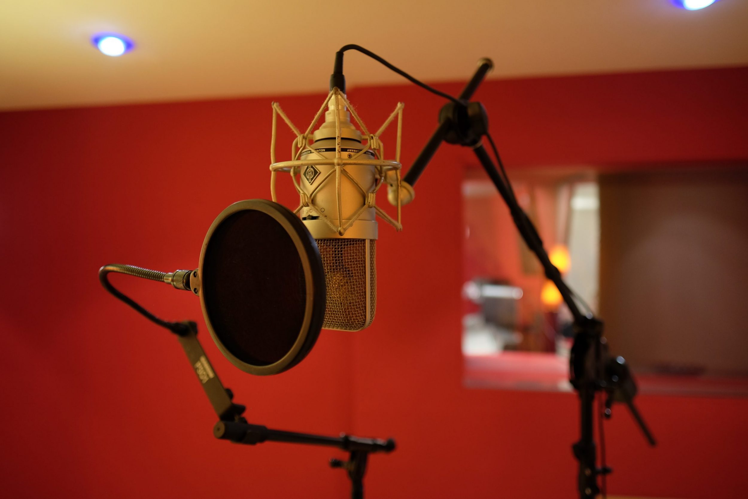 Mic Neumann TLM 102